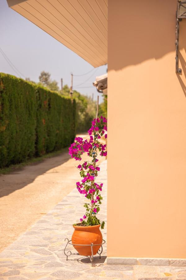 Kourouta Villas Amaliada ภายนอก รูปภาพ
